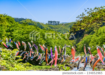 Spring Miyagi Shichikashuku Carp Streamers 134852965