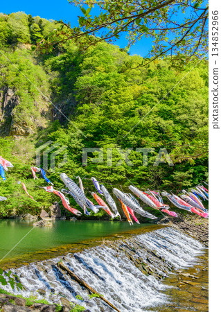 Spring Miyagi Shichikashuku Carp Streamers Spring Miyagi Shichikashuku Carp Streamers 134852966