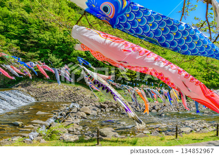 春季宮城七宿鯉魚擬餌 134852967