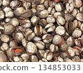 Fresh Cockles in Abundance at a Seafood Market, Raw Shellfish Texture Background for Korean Cuisine 134853033