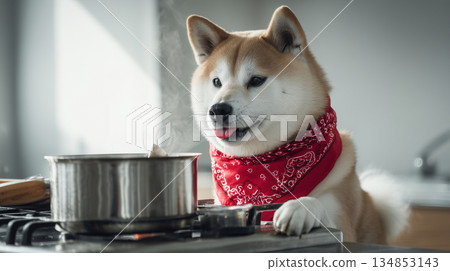 Dog cooking 134853143