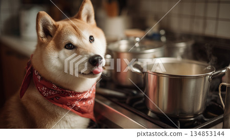 狗肉烹飪 134853144