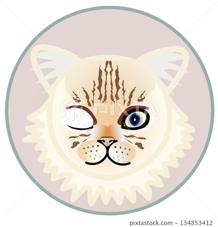 Illustration of a Persian cat's face with a circular background Illustration of a Persian cat's face with a circular background 134853412
