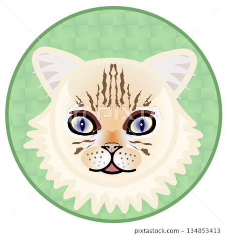 波斯貓臉部插圖,背景為圓形 波斯貓臉部插圖,背景為圓形 134853413