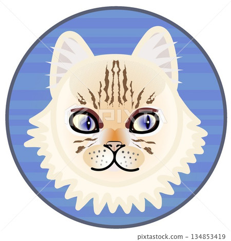 波斯貓臉部插圖,背景為圓形 波斯貓臉部插圖,背景為圓形 134853419