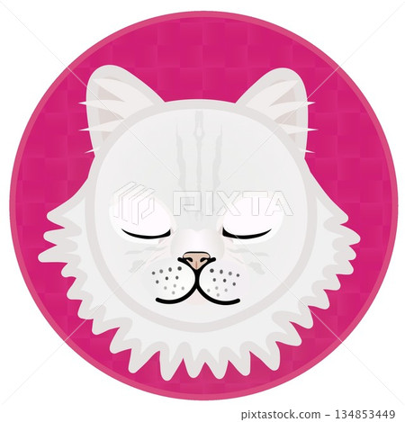 Illustration of a Persian cat's face with a circular background Illustration of a Persian cat's face with a circular background 134853449