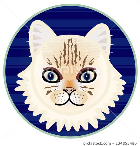 Illustration of a Persian cat's face with a circular background Illustration of a Persian cat's face with a circular background 134853480