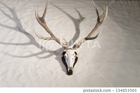 Swiss restaurant wall decoration Swiss restaurant wall decoration 134853503