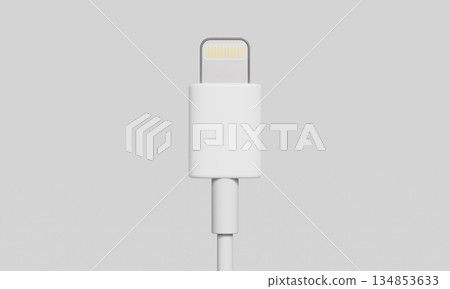 8 Pin Lightning Charging Cable Connector. 3D Rendering. 134853633