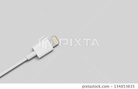 8 Pin Lightning Charging Cable Connector. 3D Rendering. 134853635