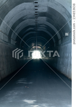 Tunnel with exit view Tunnel with exit view 134853638