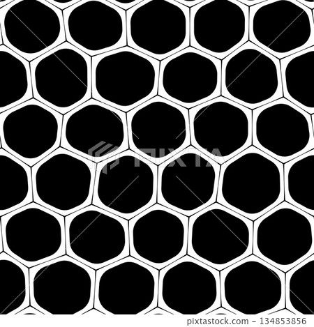 Hexagon Ornament 134853856