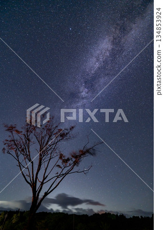 The Milky Way flowing over the plateau The Milky Way flowing over the plateau 134853924