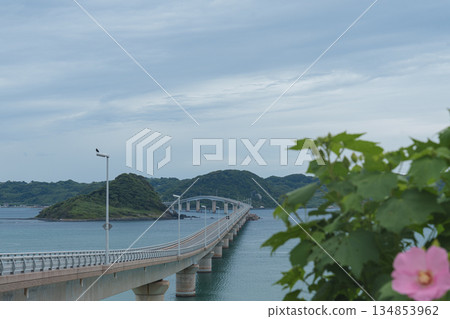 Kakushima Ohashi and the Blue Sea 134853962
