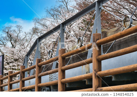 蹴上斜坡和櫻花(京都府京都市東山區) 蹴上斜坡和櫻花(京都府京都市東山區) 134854025