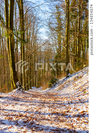 Snow blankets the path and ground in an autumn forest. Trees line the sides, showing bare branches with some fallen leaves. This scene captures the change of seasons. Snow blankets the path and ground in an autumn forest. Trees line the sides, showing bare branches with some fallen leaves. This scene captures the change of seasons. 134854874