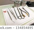 Detailed Set of Stainless Steel Dental Instruments Laid Out on Clinic Tray for Examination, Extraction and Prosthetic Work 134854895