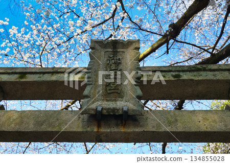 Spring scenery at Fushimi Jingu Shrine in Kyoto (Fushimi Ward, Kyoto City, Kyoto Prefecture) Spring scenery at Fushimi Jingu Shrine in Kyoto (Fushimi Ward, Kyoto City, Kyoto Prefecture) 134855028