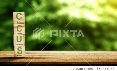 Stacked wooden blocks with the acronym CCUS (Carbon Capture Utilization and Storage) against a blurred green background. Symbolizing sustainable technology and environmental responsibility 134855072