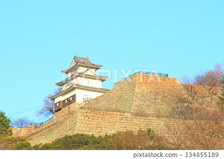 香川縣丸龜市丸龜城風景 134855189