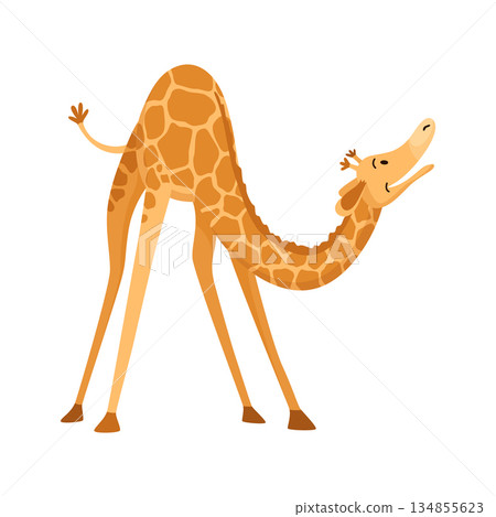 Funny giraffe. Giraffe in a cartoon style, is isolated on white background. Trendy design little kids giraffe Funny giraffe. Giraffe in a cartoon style, is isolated on white background. Trendy design little kids giraffe 134855623