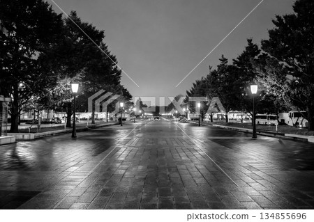 東京站丸之內站廣場夜景（街燈），用於報紙廣告 134855696