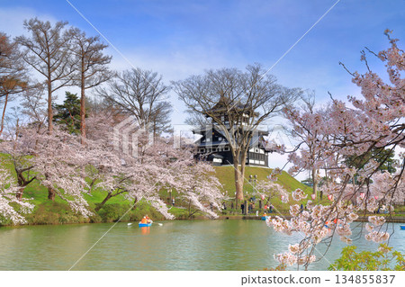 【新潟縣】晴空萬裡，櫻花盛開，高田城盡收眼底。 134855837