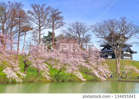 [Niigata Prefecture] Takada Castle on a clear day and cherry blossoms in full bloom 134855841