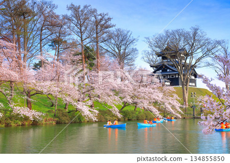 [Niigata Prefecture] Takada Castle on a clear day and cherry blossoms in full bloom 134855850