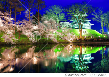 【新潟縣】高田城對稱的夜間櫻花盛開（高田城跡公園賞櫻會） 134855863