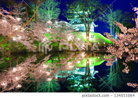 【新潟縣】高田城對稱的夜間櫻花盛開(高田城跡公園賞櫻會) 【新潟縣】高田城對稱的夜間櫻花盛開(高田城跡公園賞櫻會) 134855864