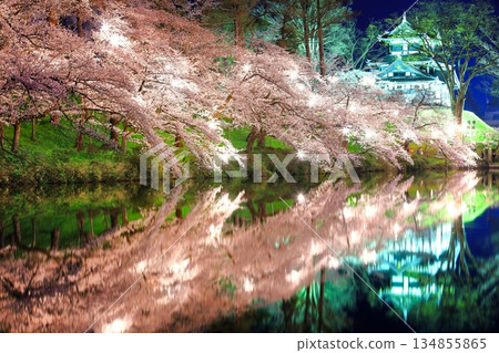 【新潟縣】高田城對稱的夜間櫻花盛開（高田城跡公園賞櫻會） 134855865