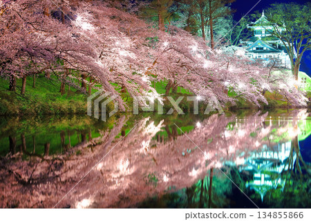 [Niigata Prefecture] Symmetrical cherry blossoms at Takada Castle in full bloom at night (Takada Castle Site Park Cherry Blossom Viewing Association) 134855866