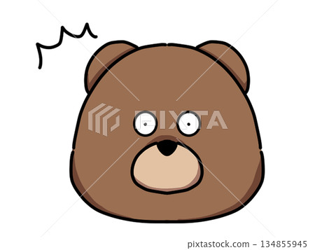 Surprised bear face Surprised bear face 134855945