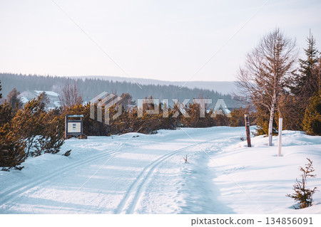 Cross-country skiing tracks wind through Jizerka Village, surrounded by snow-covered landscapes and sunny skies. This leisure activity is perfect for winter sports enthusiasts. Cross-country skiing tracks wind through Jizerka Village, surrounded by snow-covered landscapes and sunny skies. This leisure activity is perfect for winter sports enthusiasts. 134856091