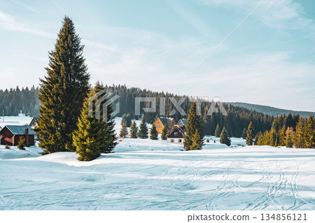 Snow blankets the landscape at Orle Settlement in the Jizera Mountains, Poland. Pine trees stand tall amidst a serene winter scene with cozy cabins in the distance reflecting a peaceful atmosphere. Snow blankets the landscape at Orle Settlement in the Jizera Mountains, Poland. Pine trees stand tall amidst a serene winter scene with cozy cabins in the distance reflecting a peaceful atmosphere. 134856121