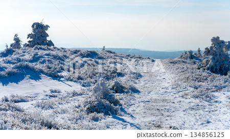 The Jizera Mountains display a peaceful winter scene, blanketed in pristine snow. Frosted trees line a winding path, inviting winter activities in a serene atmosphere. The Jizera Mountains display a peaceful winter scene, blanketed in pristine snow. Frosted trees line a winding path, inviting winter activities in a serene atmosphere. 134856125