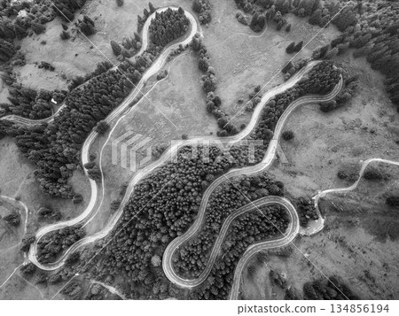 Curved roads navigate the stunning Alpine terrain, showcasing lush greenery and winding paths from a drone's perspective. This aerial view captures the essence of a scenic road trip. 134856194