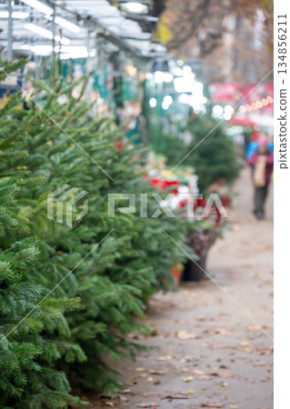 Selective focus on a Christmas tree market in the city with shoppers during holiday season in December 134856211