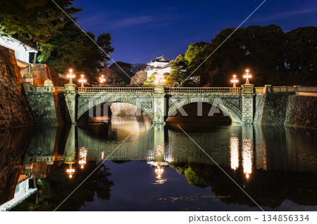 皇宮二重橋/正門石橋新年燈飾 134856334