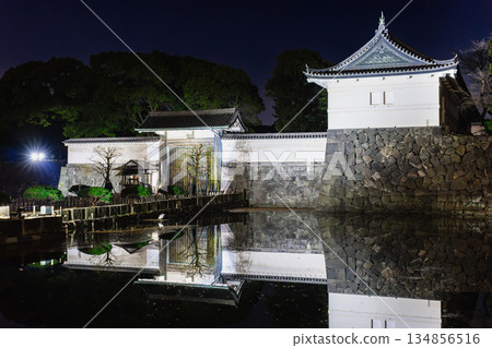 皇宮大手門新年燈飾 134856516