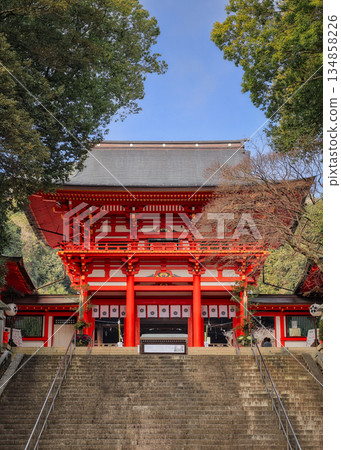 大近江神社迎接新年 134858226