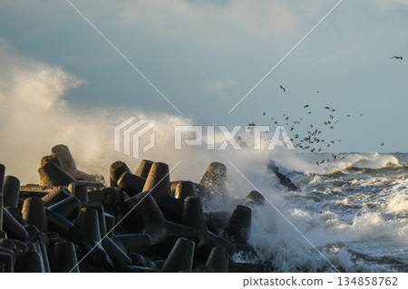 Powerful storm waves crashing on coastal breakwater with flying seabirds near Liepaja, Baltic Sea Powerful storm waves crashing on coastal breakwater with flying seabirds near Liepaja, Baltic Sea 134858762