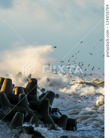 Powerful Baltic Sea storm waves crashing against breakwater blocks with seagulls in flight, Liepaja 134858764