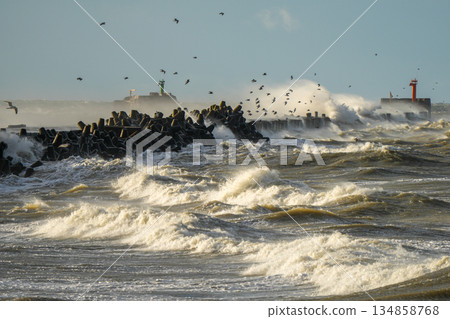 Stormy Baltic Sea waves crash against breakwaters with seagulls flying near harbor gate in Liepaja Stormy Baltic Sea waves crash against breakwaters with seagulls flying near harbor gate in Liepaja 134858768