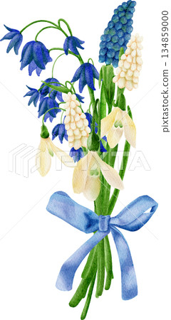 A watercolor painting depicting a bouquet of primroses: bluebells and snowdrops, muscari A watercolor painting depicting a bouquet of primroses: bluebells and snowdrops, muscari 134859000