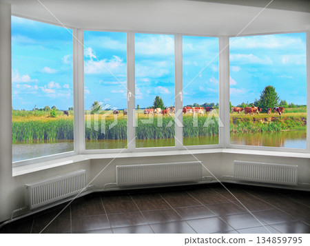 Window with view to summer lake with grazing cows. Rural view Window with view to summer lake with grazing cows. Rural view 134859795