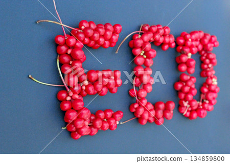 Word Eco from red ripe berries of schisandra. Protect environment. Gift of nature Word Eco from red ripe berries of schisandra. Protect environment. Gift of nature 134859800