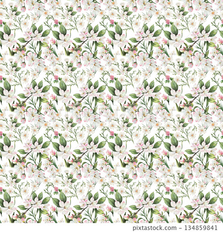 delicate seamless watercolor pattern of white-pink apple blossoms, green twigs, and pink butterflies creates a romantic botanical wallpaper 134859841