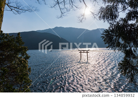 箱根九頭龍神社的鳥居 134859932